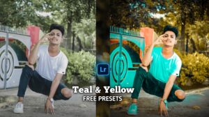 Teal And Yellow Lightroom Presets