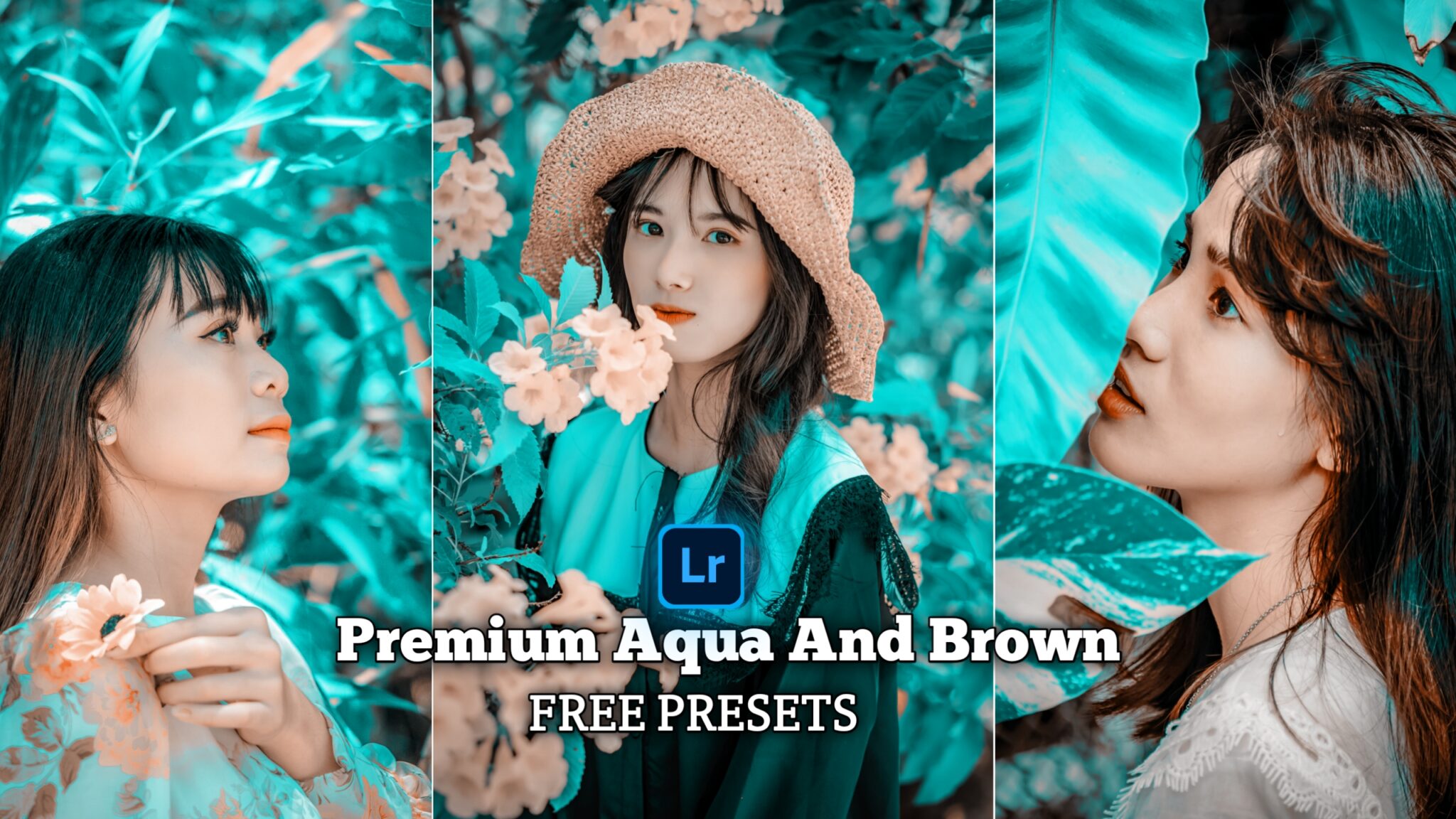 Download Aqua And Brown Premium Lightroom Presets