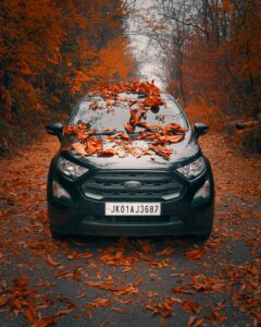 Autumn Background Car Background