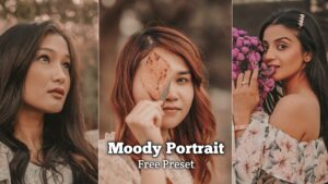 Moody Portrait Mobile Lightroom Preset Free Download