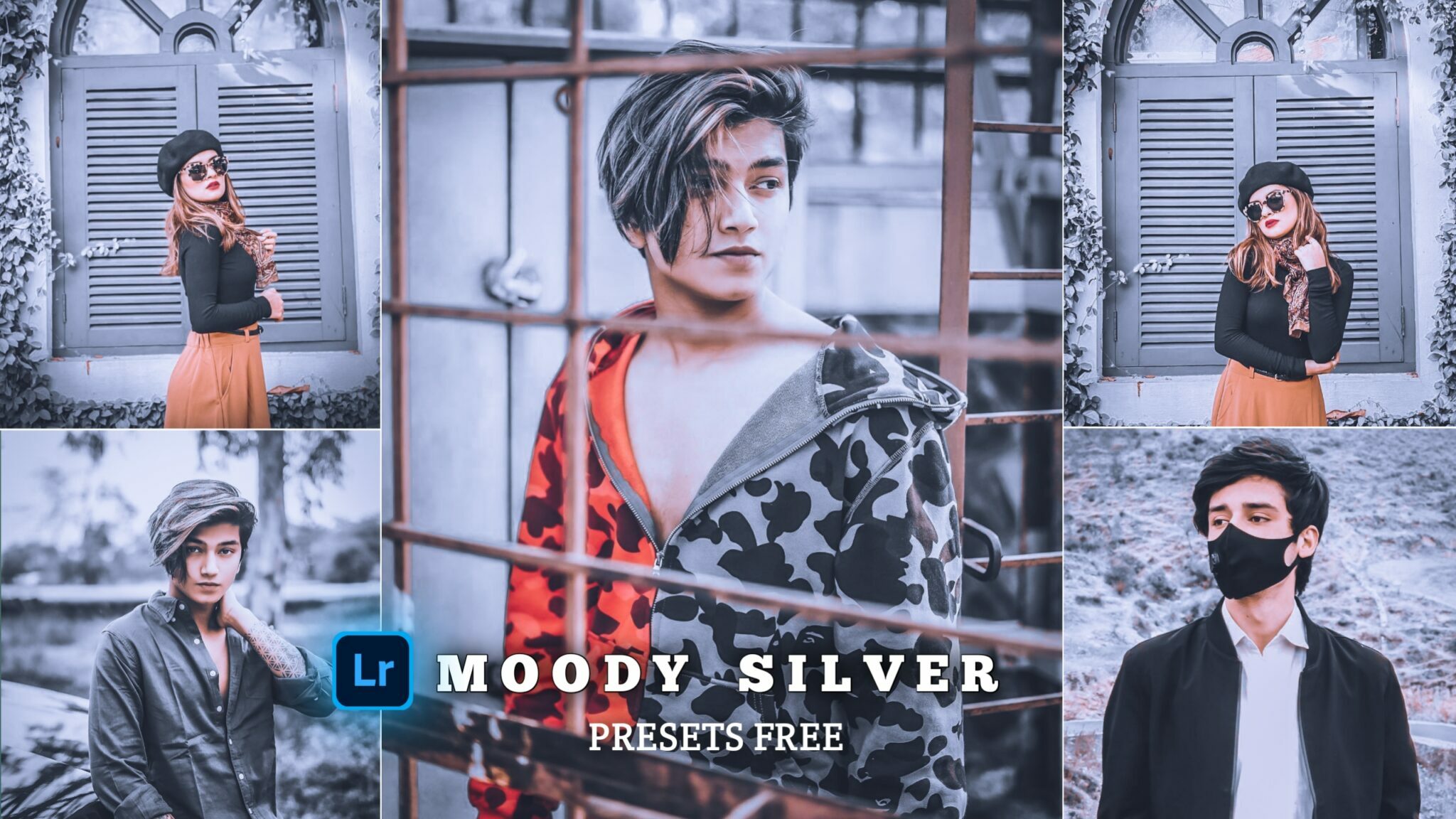 Moody Silver Lightroom Presets | Dng Presets