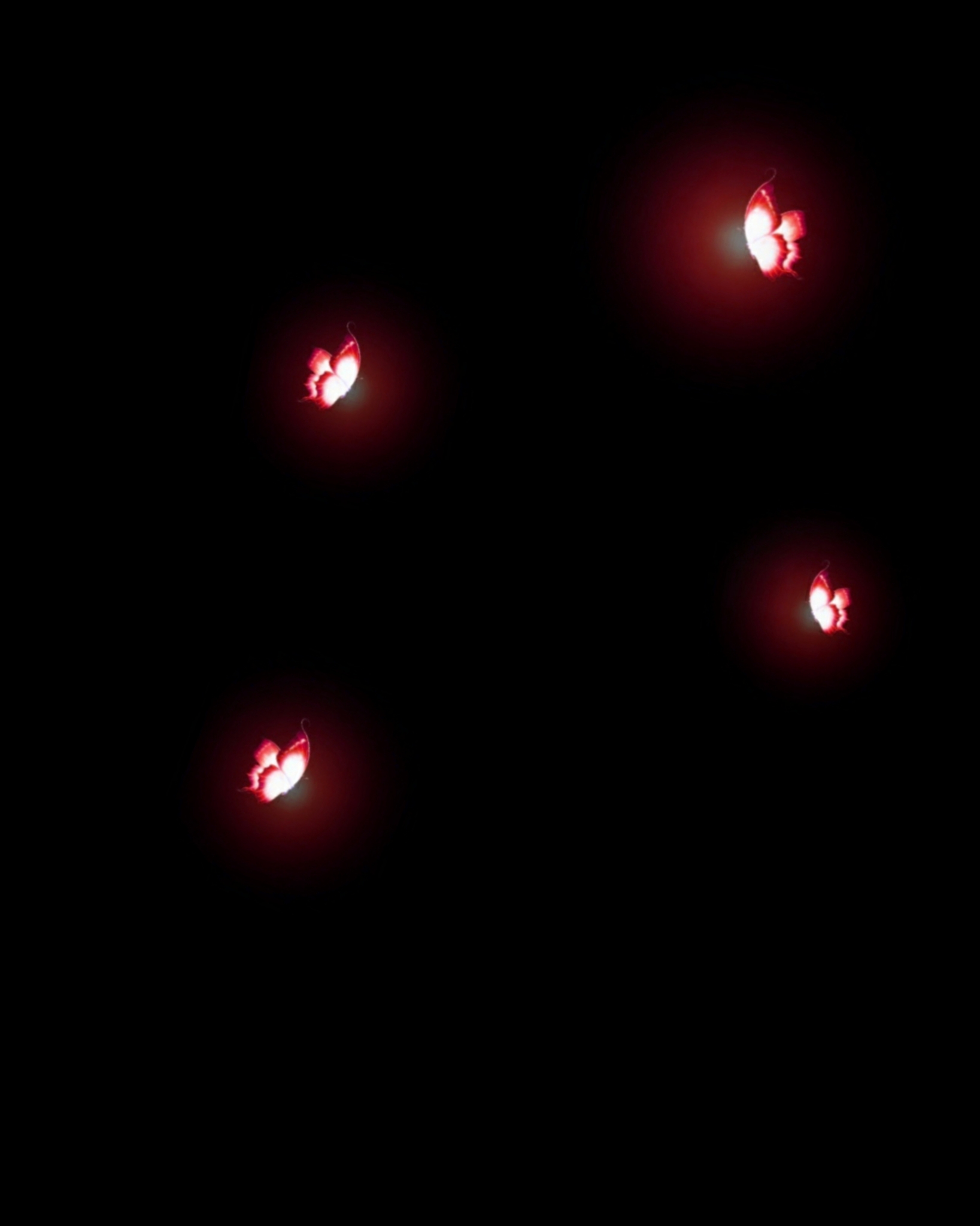 Red Butterfly Glowing Png