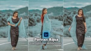 Portrait Aqua Lightroom Presets Free