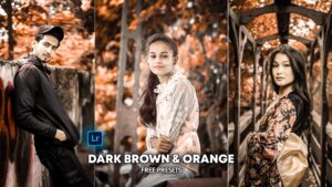 Dark brown and orange lightroom presets