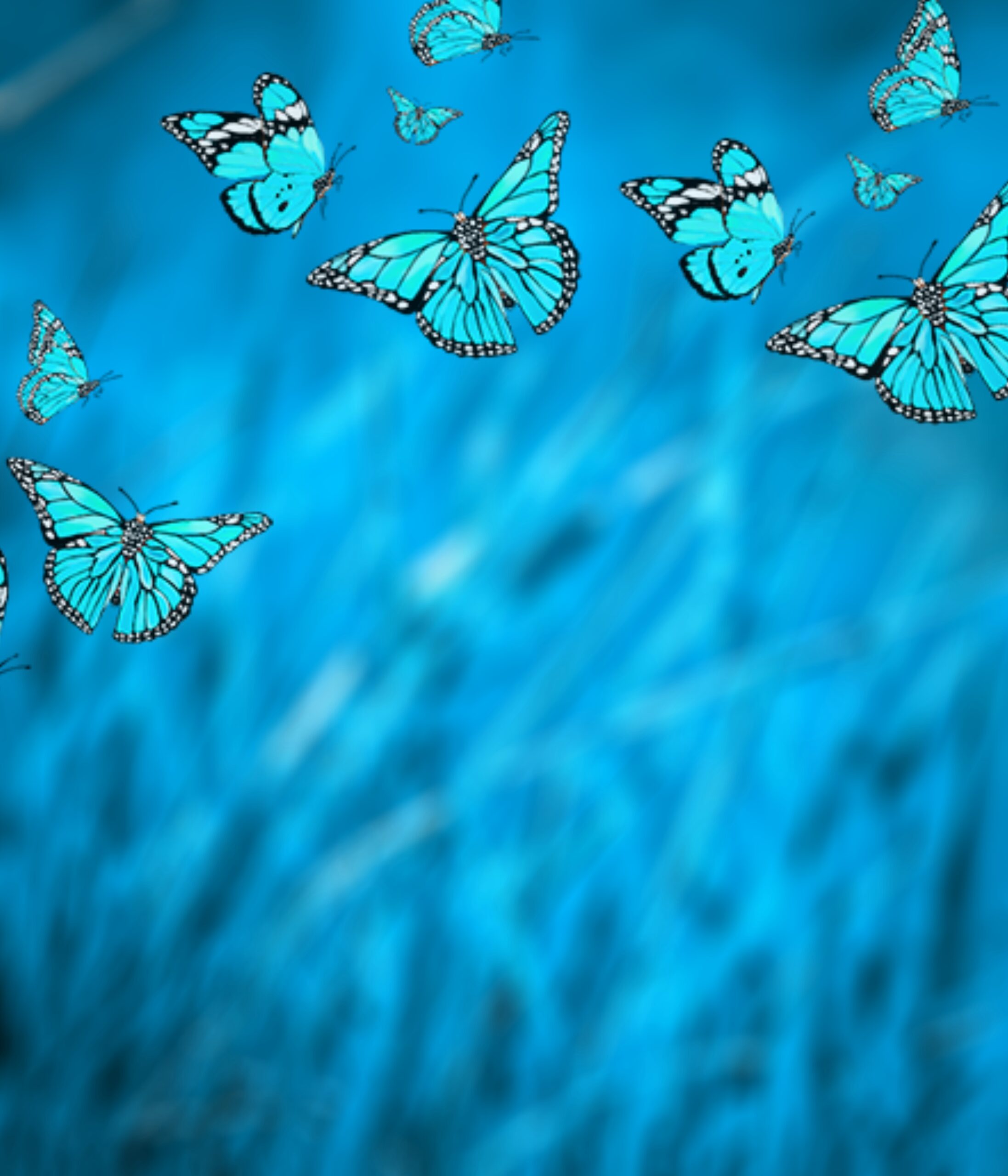 Picsart Butterfly Background Image