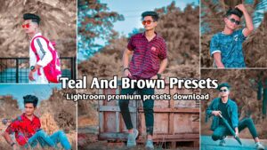Teal And Brown Lightroom Presets Free