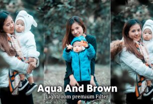 Aqua And Brown Lightroom Presets Free BRD Editz