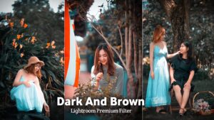 Dark And Brown Lightroom Presets Free BRD Editz