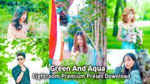 Green And Aqua Effect Lightroom Presets Free