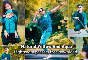 Natural Yellow And Aqua Lightroom Presets Free BRD Editz