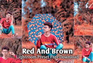 Red And Brown Lightroom Presets Free