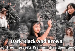 Black And Brown Lightroom Presets Free Download
