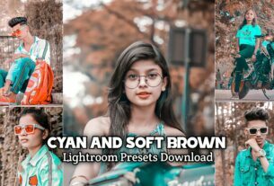 Cyan And Soft Brown Lightroom Presets
