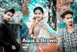 Aqua and brown lightroom preset download