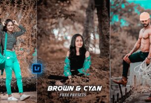 Brown And Cyan Lightroom Presets