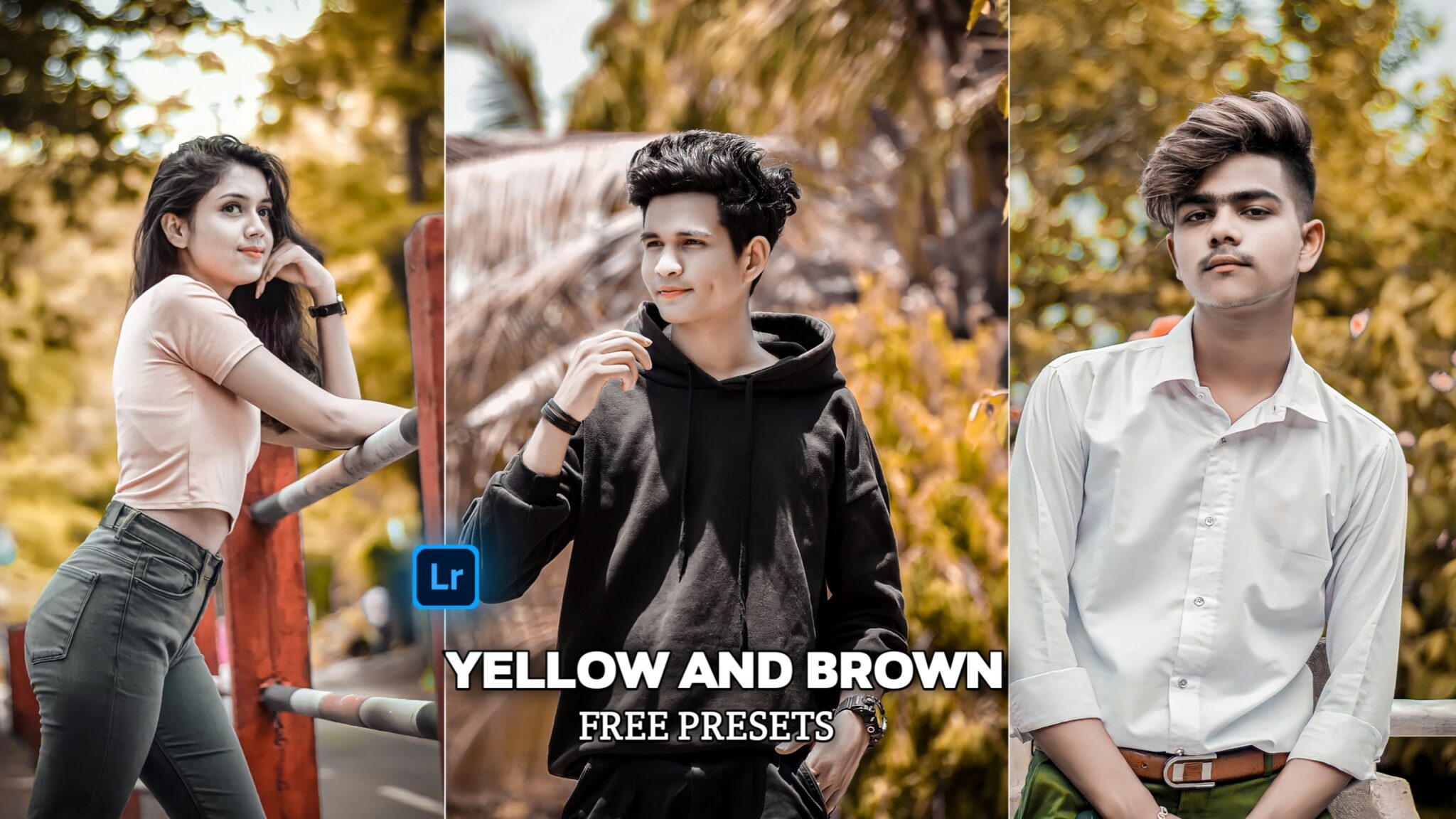 Yellow And Brown Lightroom Presets
