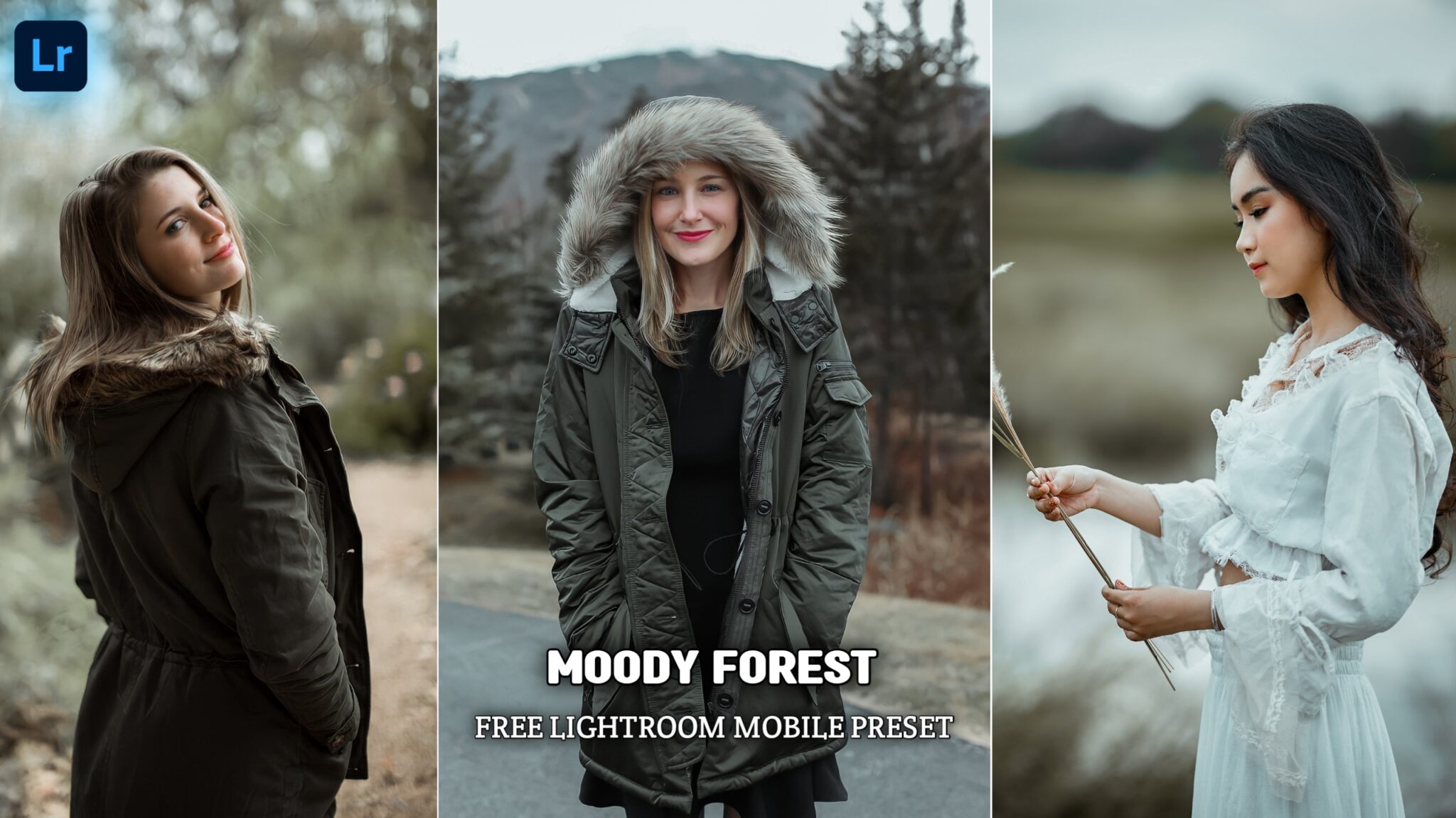 Moody Forest Tone Lightroom Presets | Free Presets