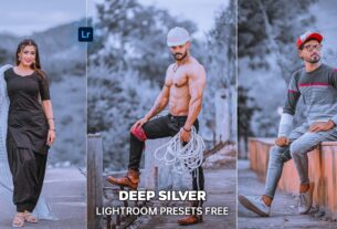 Deep Silver Lightroom Presets