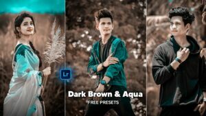 Dark Brown And Aqua Lightroom Presets