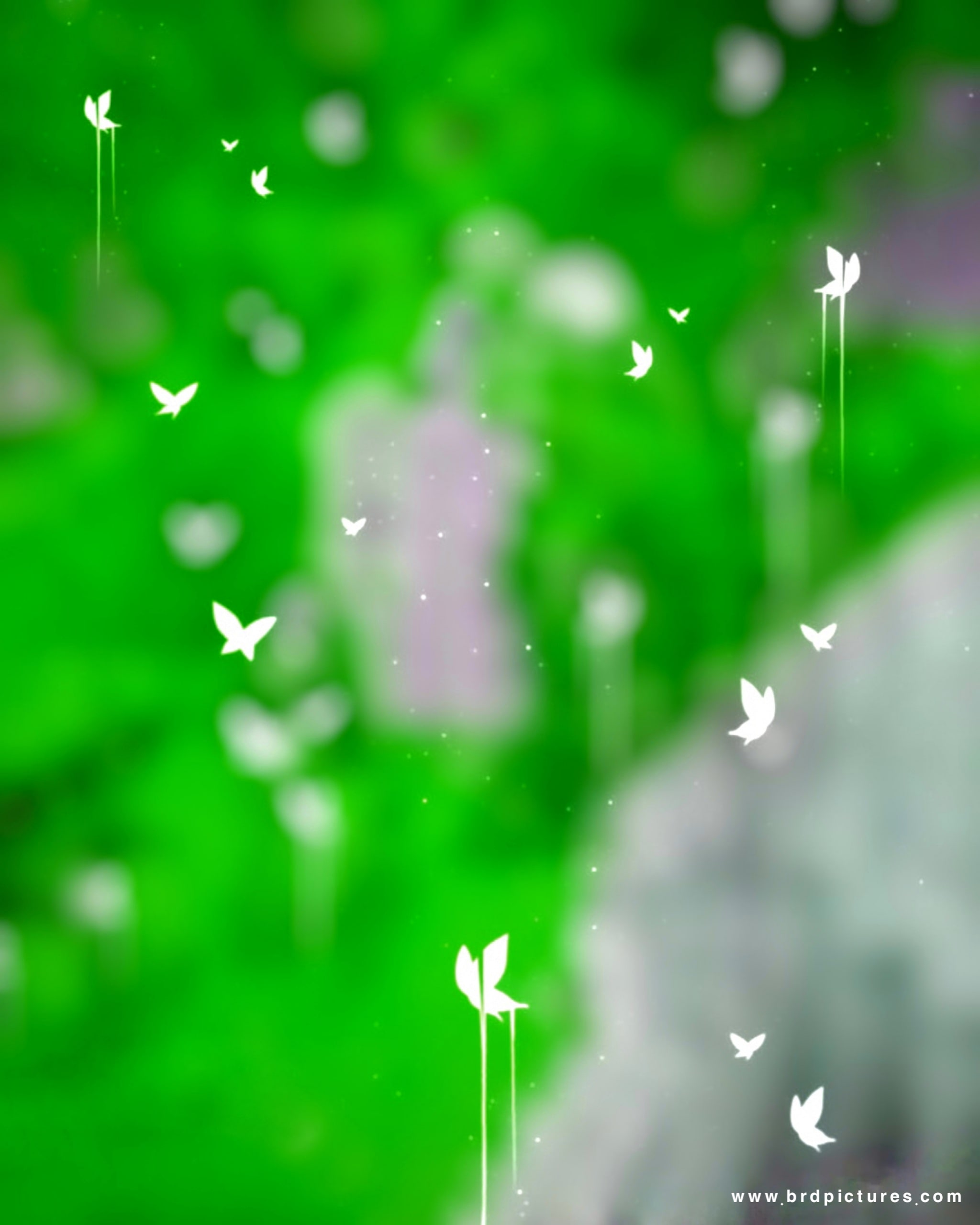 Butterfly Effect CB Background HD For Snapseed Editing 