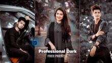 Professional Dark Tone Lightroom Preset | Free Preset