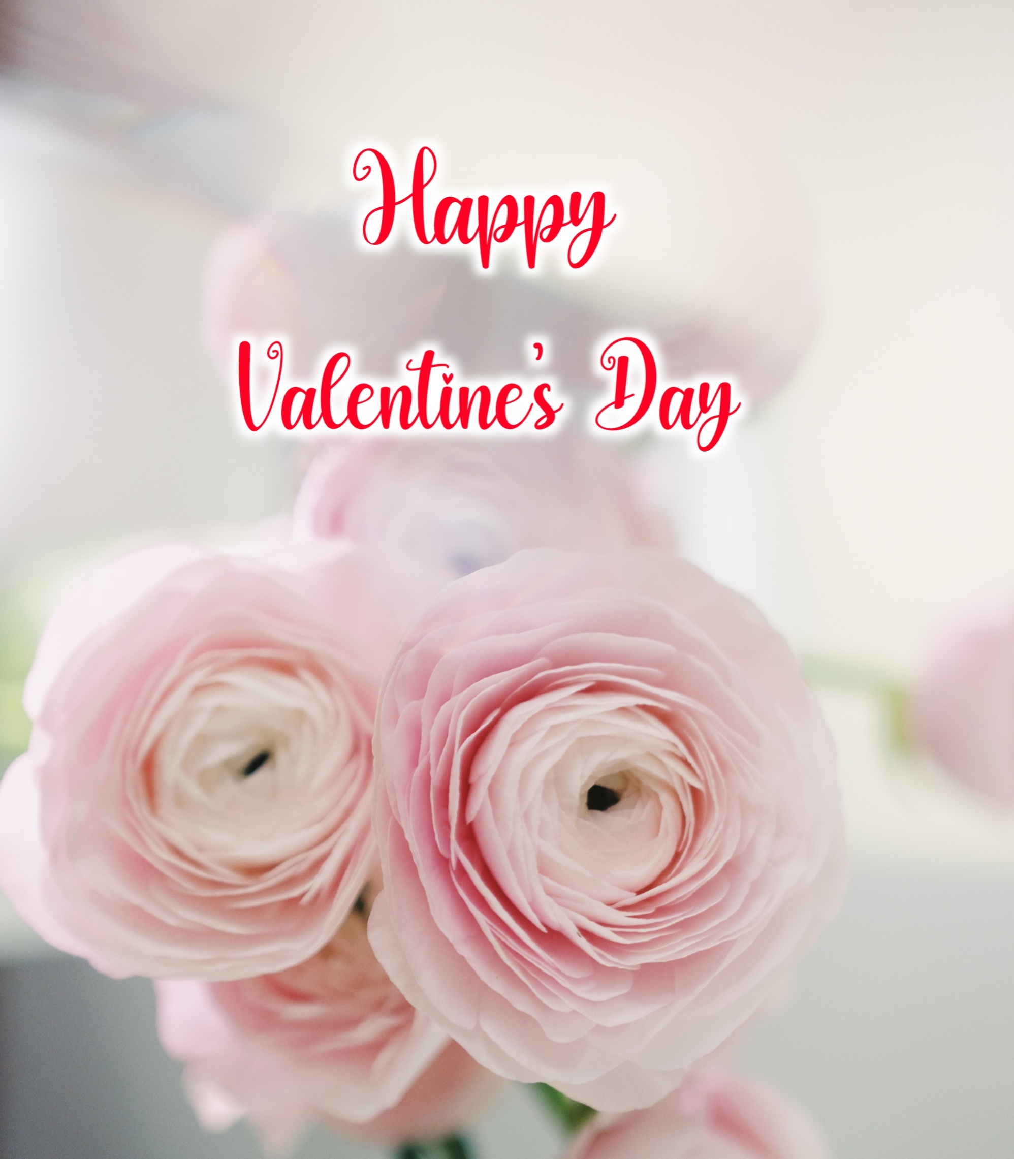 Free Download Happ Valentine Day Image 