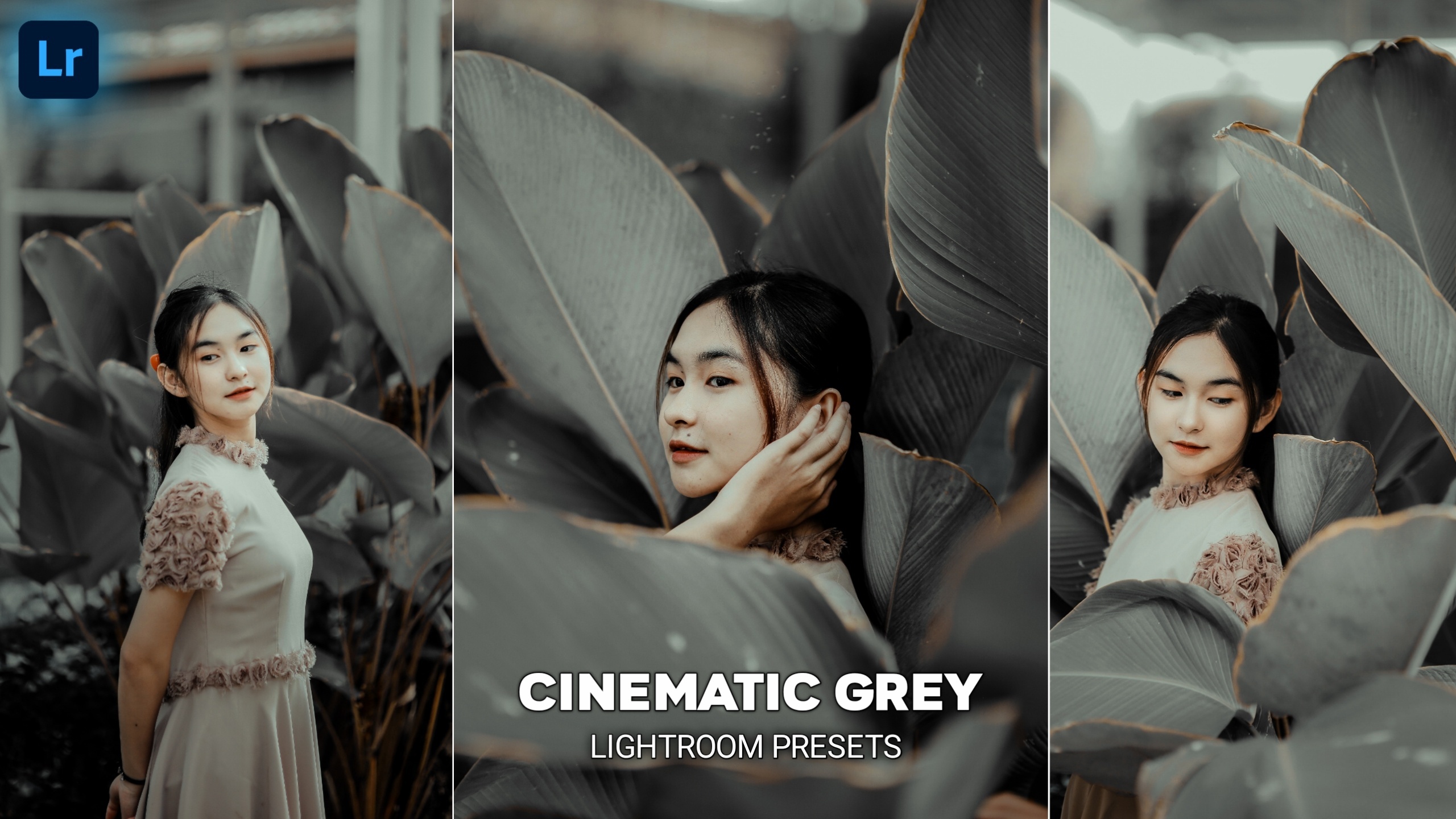 Cinematic Grey Tone Lightroom Presets 