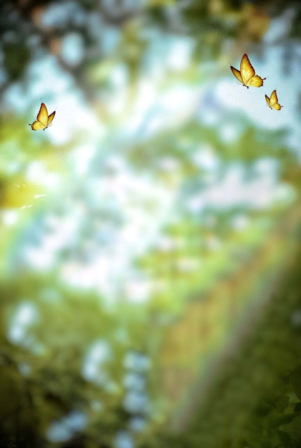 Dark Tree Butterfly CB Editing Background HD