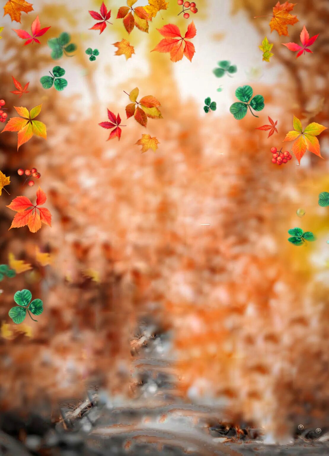 Orange Tree Autumn CB Editing Background HD