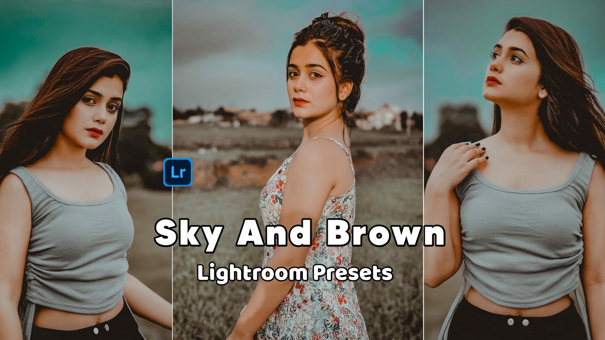 Sky And Brown Lightroom Mobile Preset