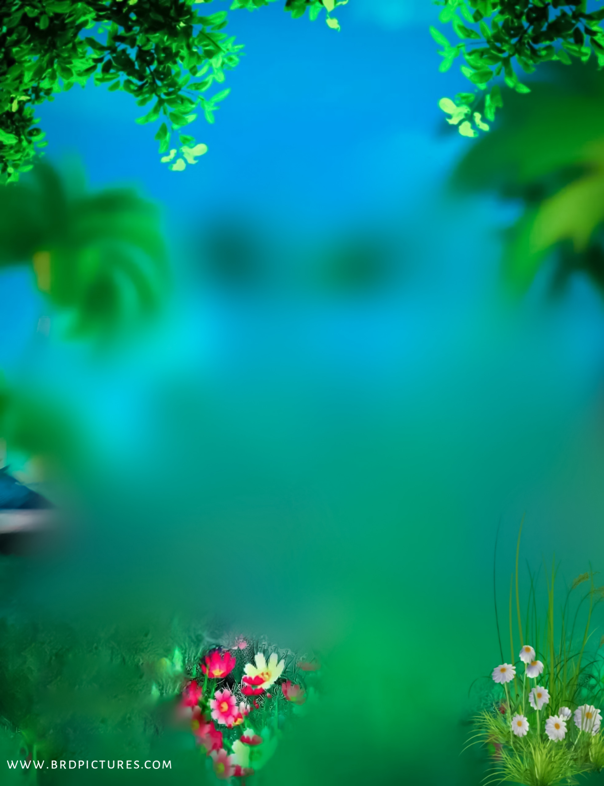 Sky Tree Flower Editing Background