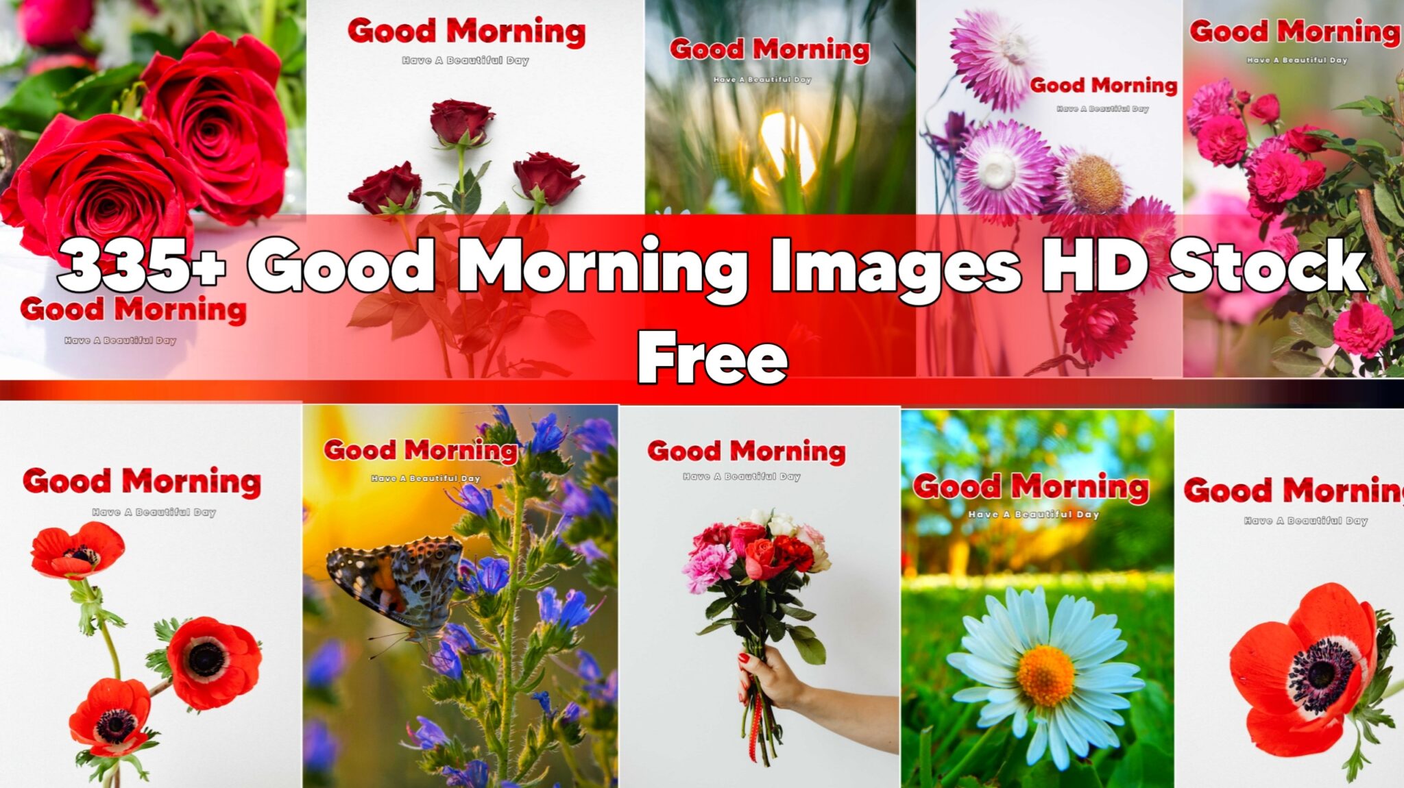 335+ Good Morning Images HD Free Stock