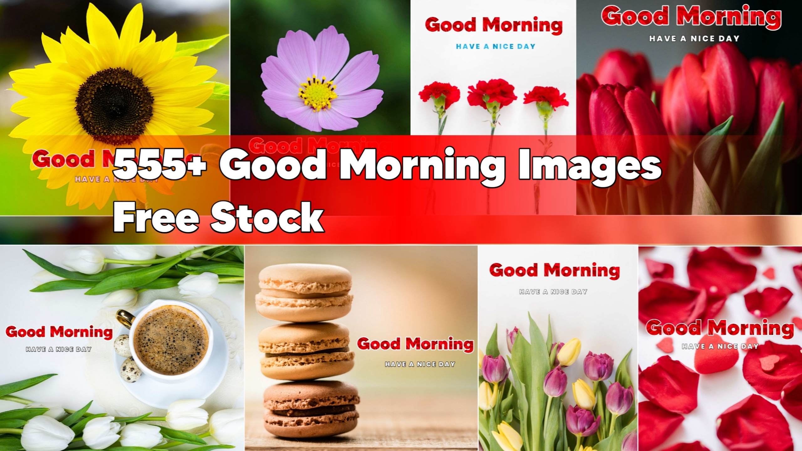Top 555+ Good Morning Images Free HD Download