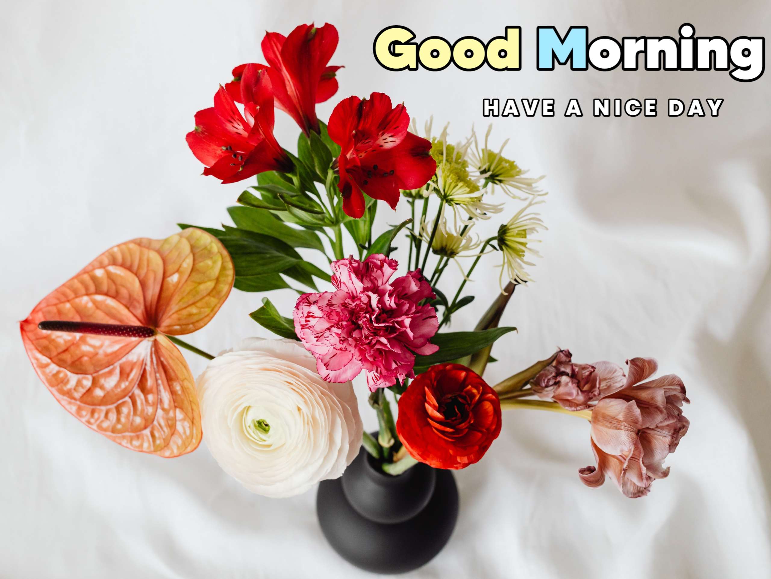 Colorful Flowers Good Morning Image HD 