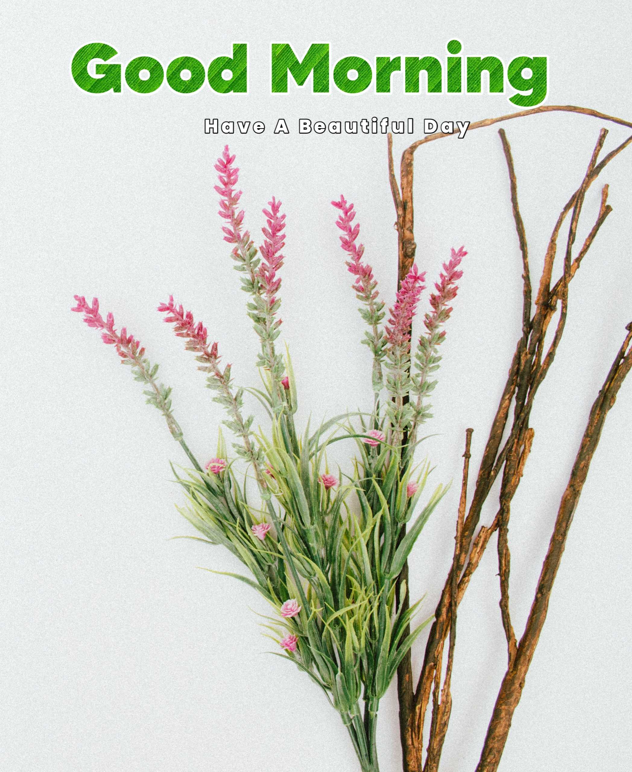 Dholi Fulli Grass Good Morning Image 