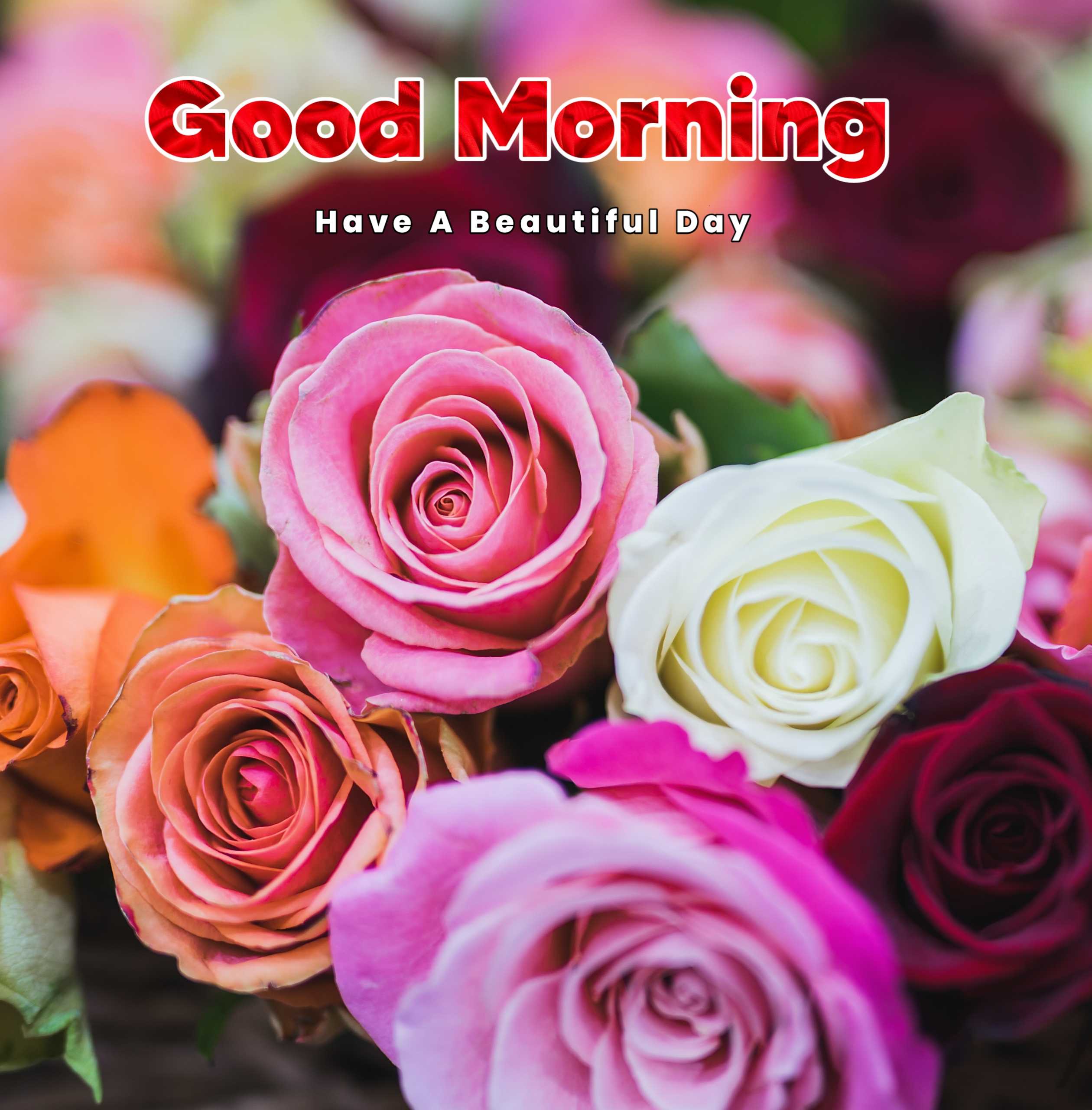 Good Morning Flowers Collection Image Free 