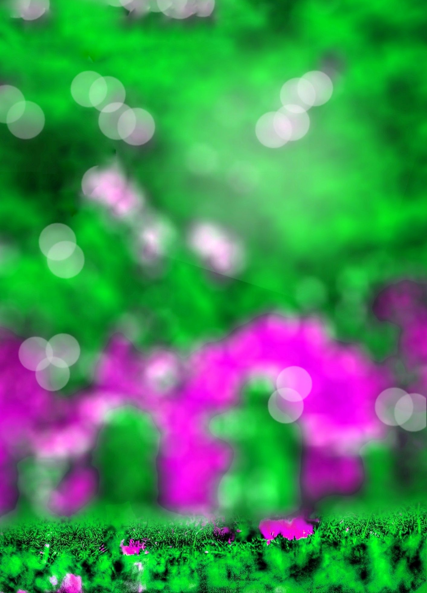 Green And Pink CB Background HD Photo Editing 
