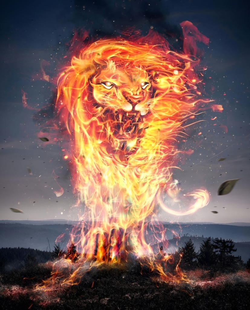 Tiger Fire HD Background For Editing Picsart 