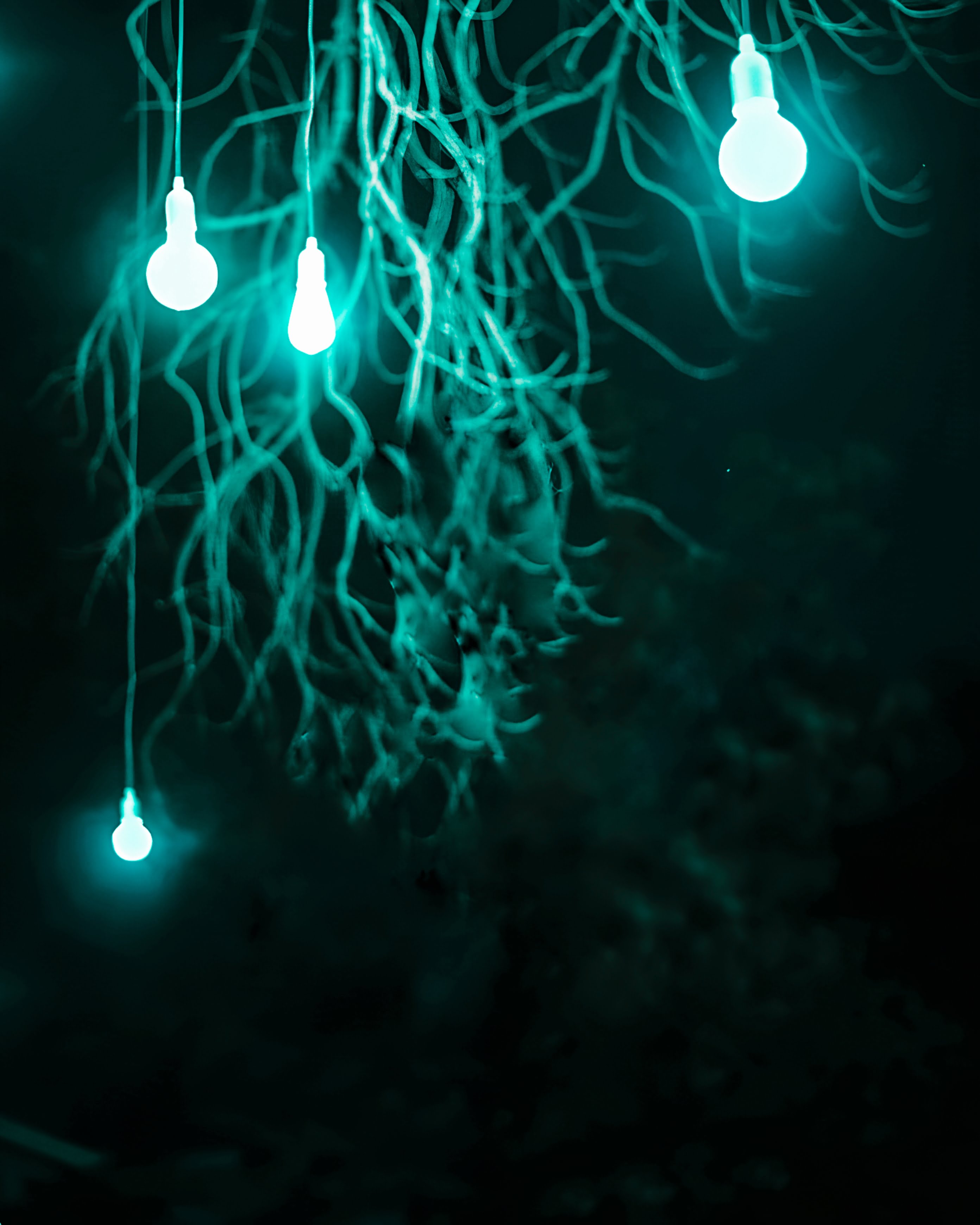 Aqua Light Blub Night Background Photo Editing 